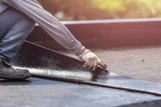 Wet basement repair process in Lexington, MI